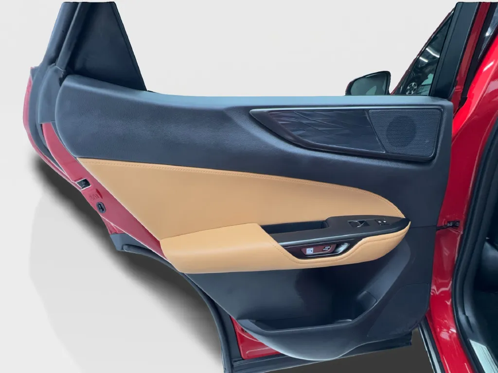 Lexus NX photo 27