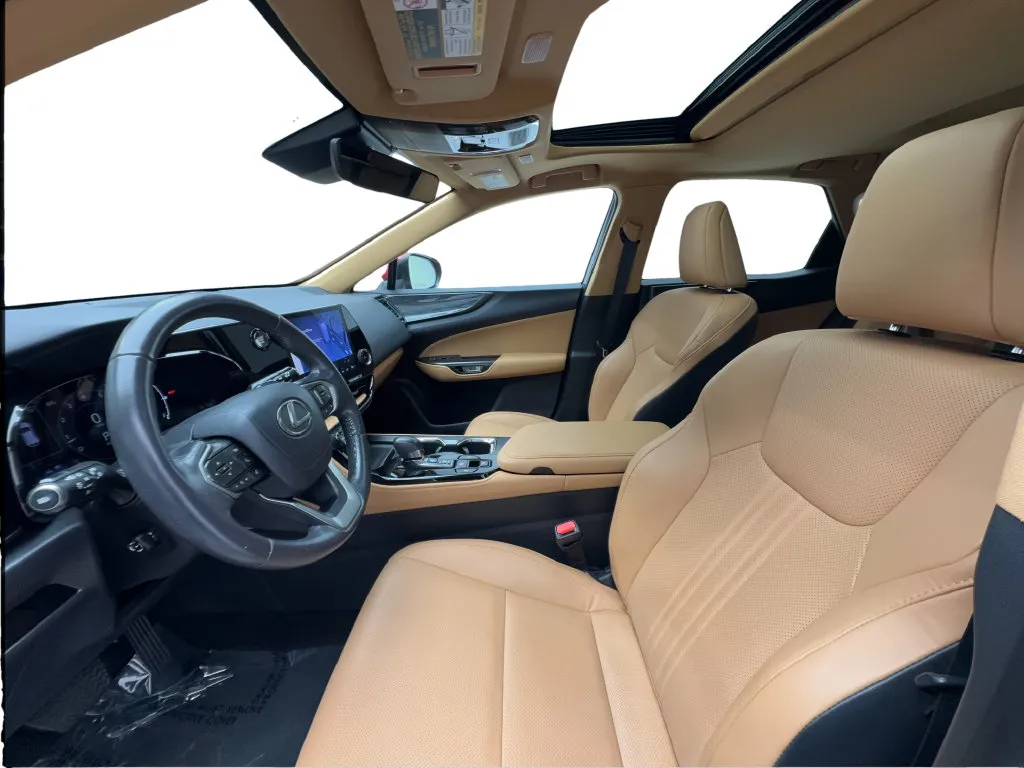 Lexus NX photo 21