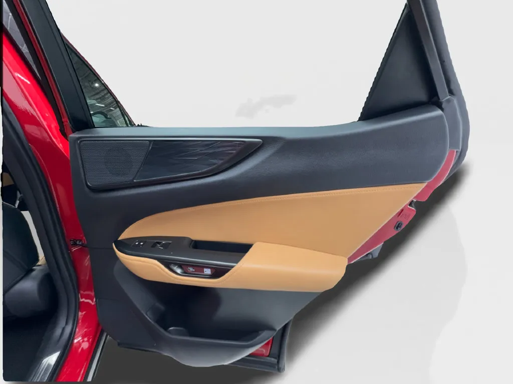Lexus NX photo 30