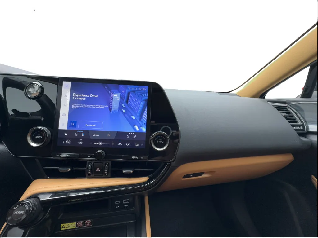 Lexus NX photo 45