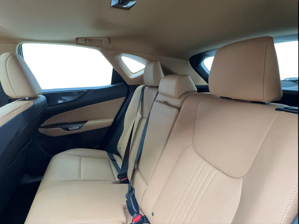 Lexus NX photo 26