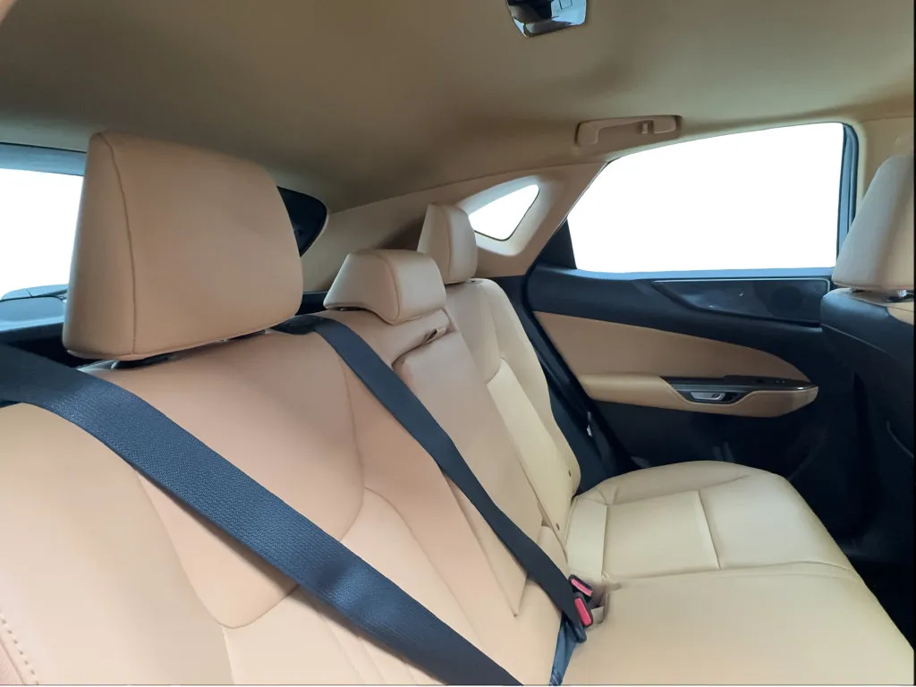 Lexus NX photo 29