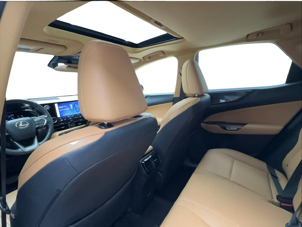 Lexus NX photo 25