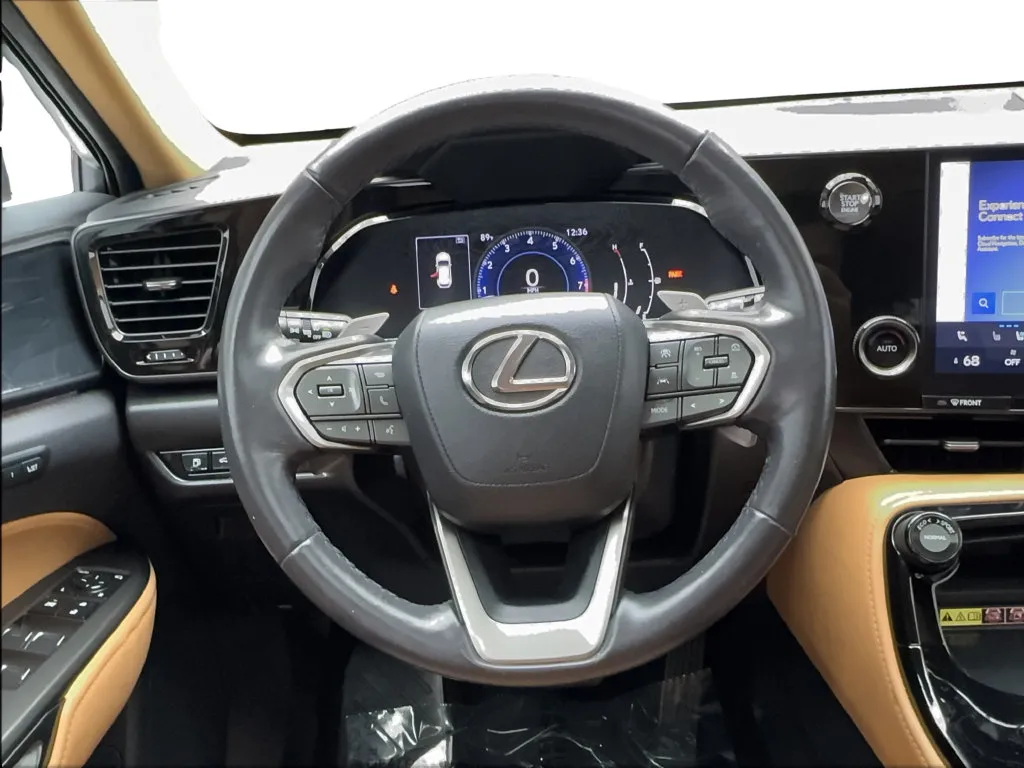 Lexus NX photo 39