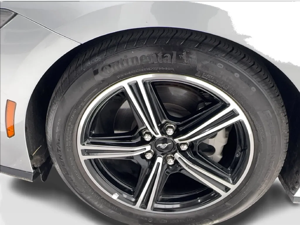 Ford Mustang photo 14