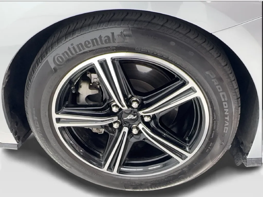 Ford Mustang photo 15