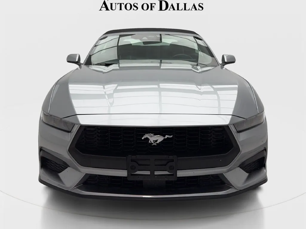 Ford Mustang photo 4