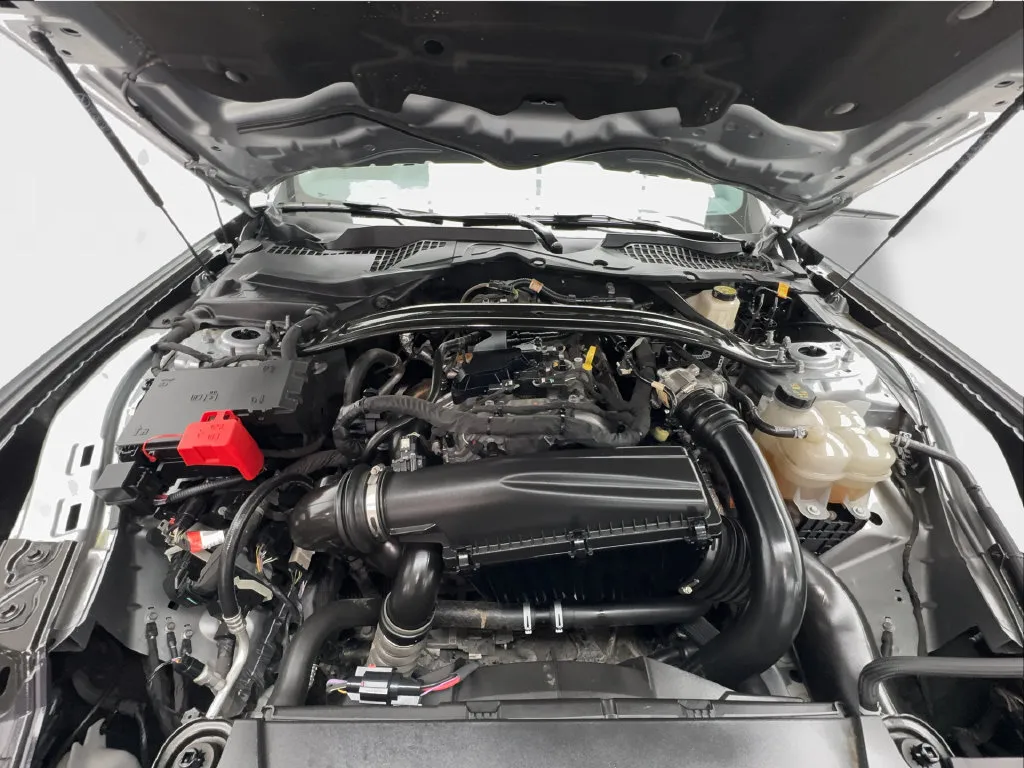 Ford Mustang photo 19