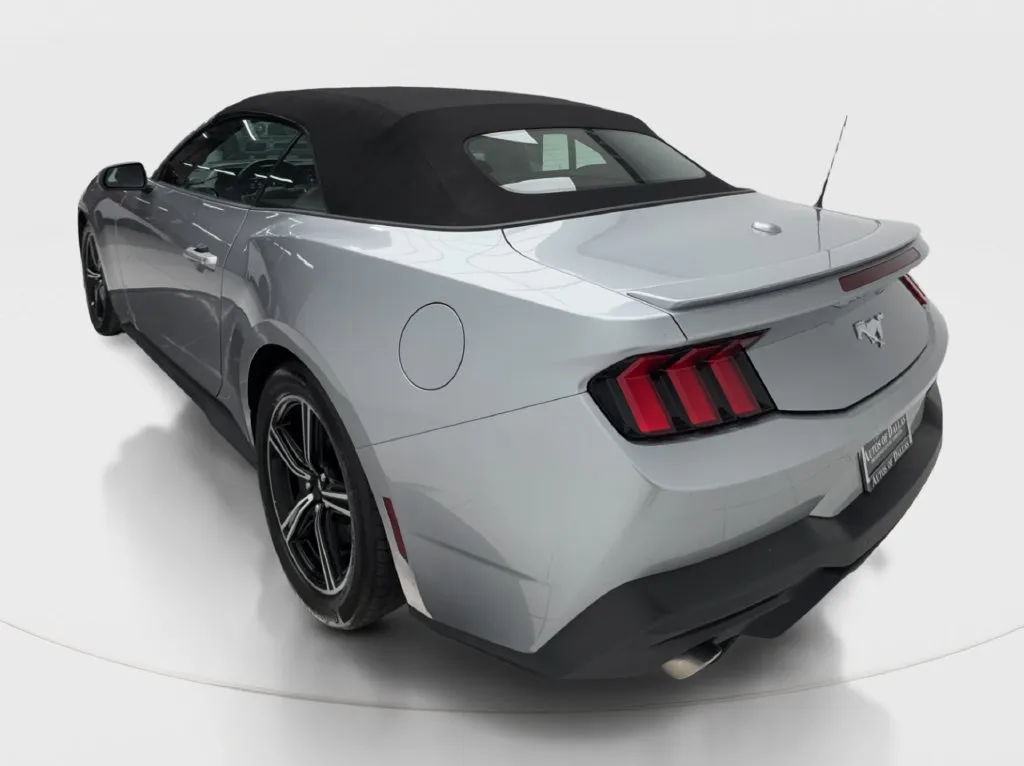 Ford Mustang photo 11