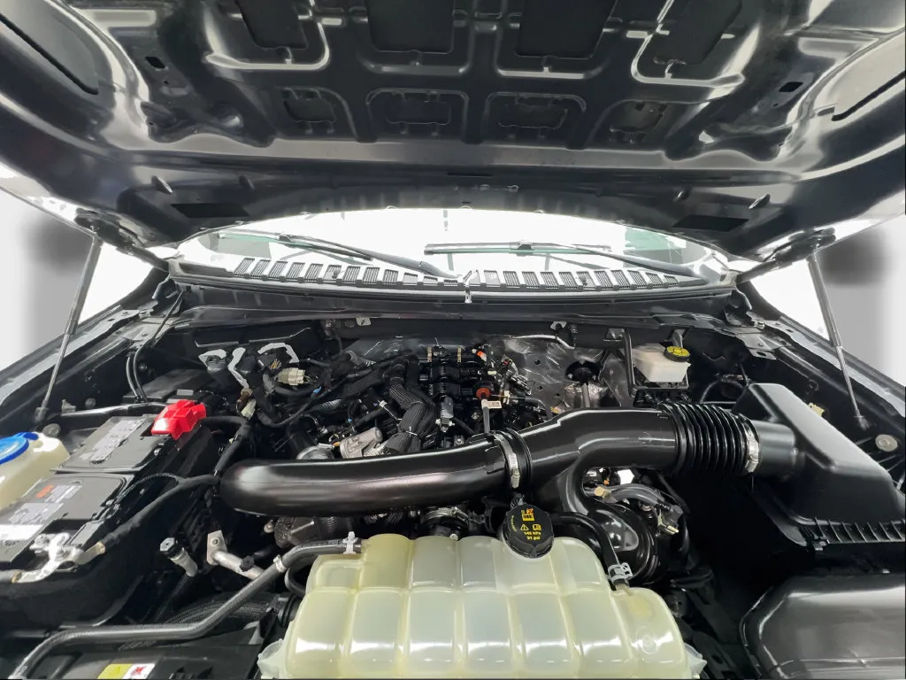 Ford Expedition photo 19