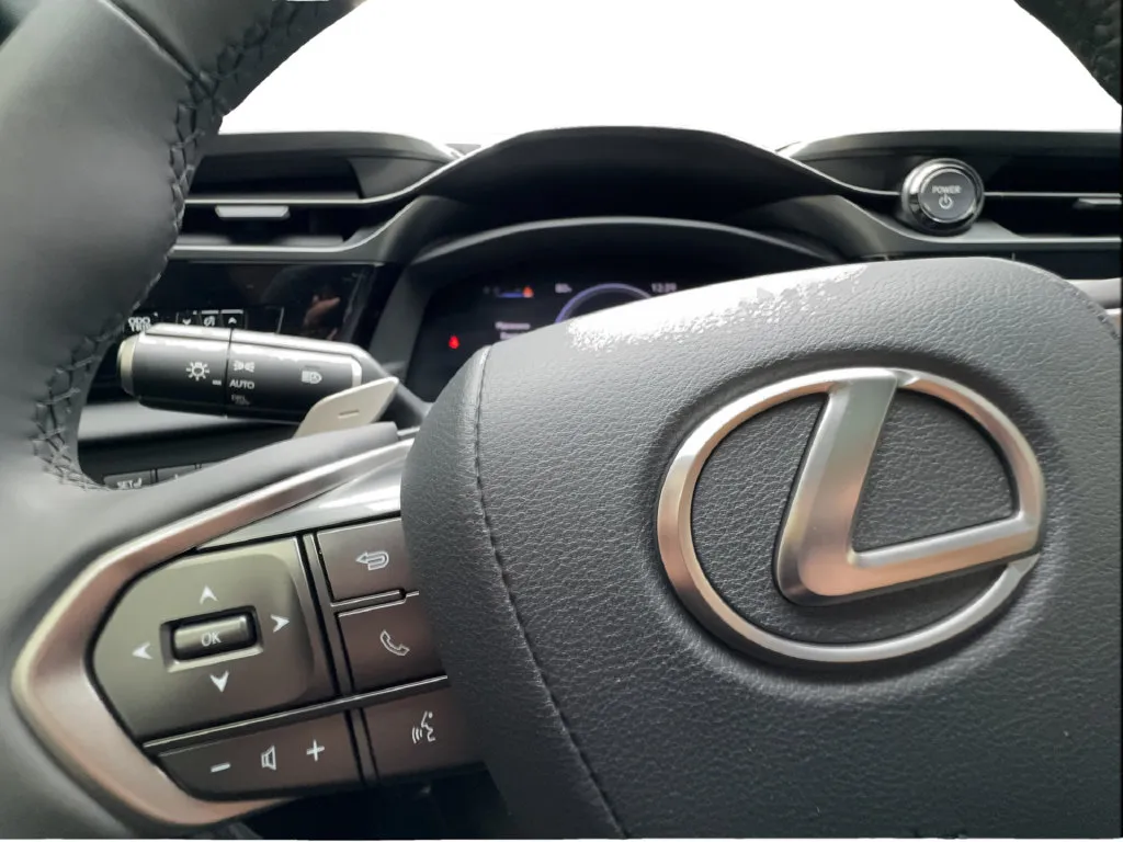 Lexus RZ photo 46