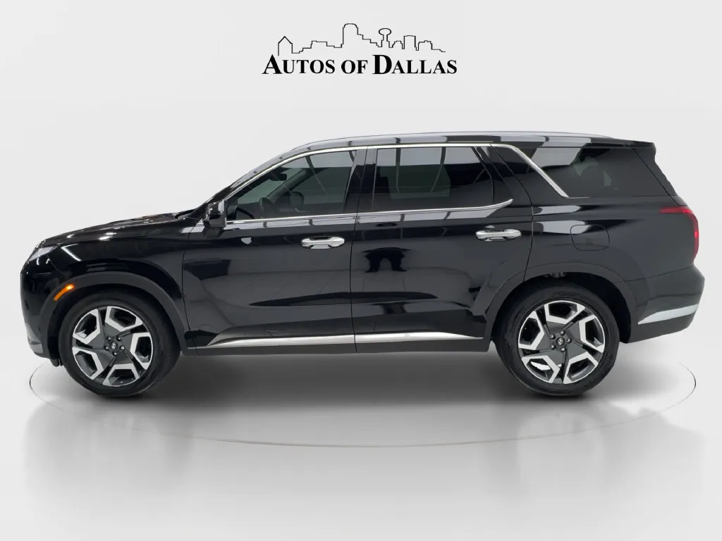 Hyundai Palisade photo 6
