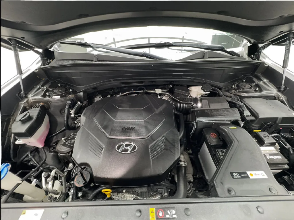 Hyundai Palisade photo 20