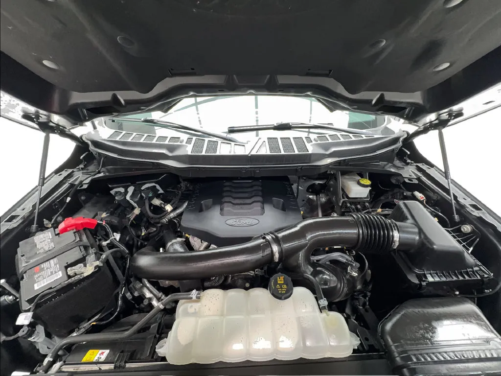 Ford F-150 photo 21