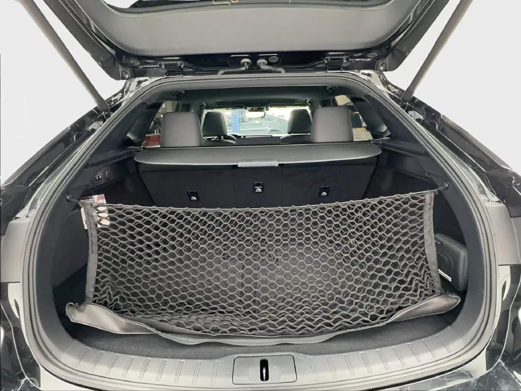 Lexus RX photo 19