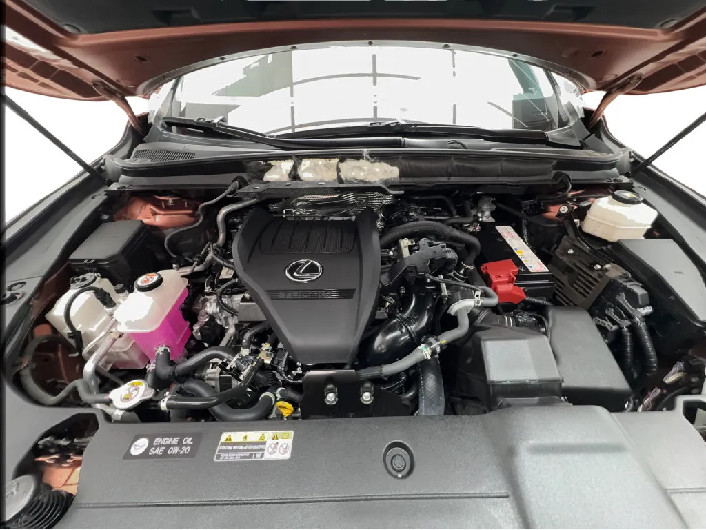 Lexus RX photo 20