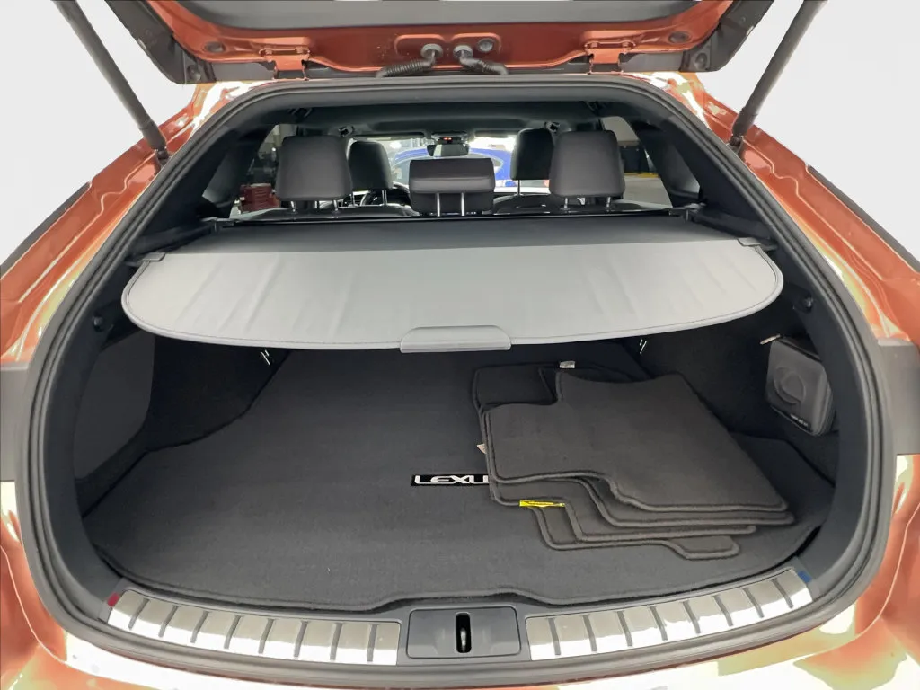 Lexus RX photo 19