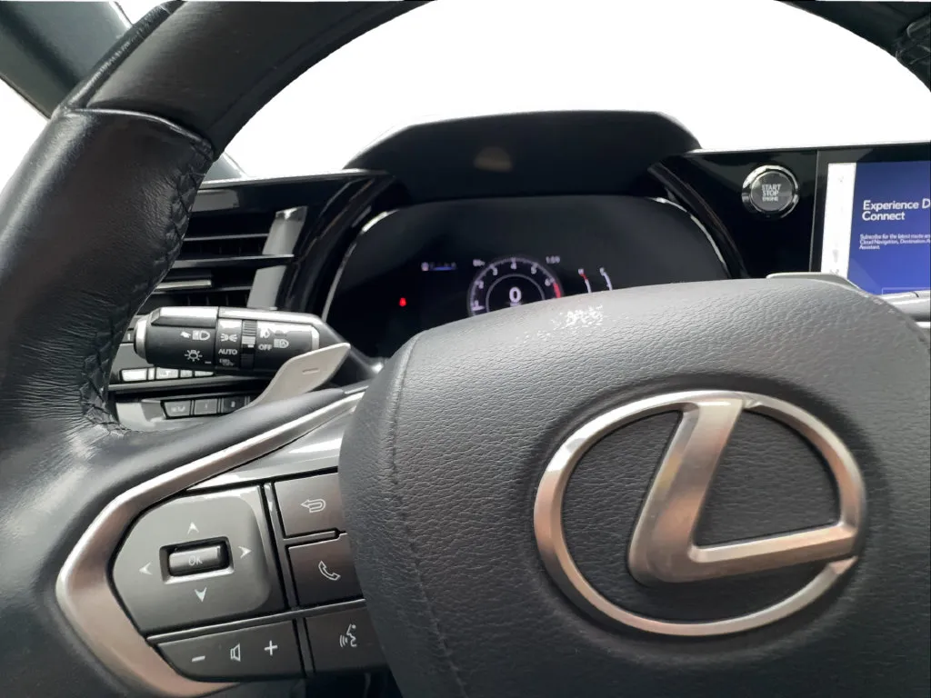 Lexus RX photo 47