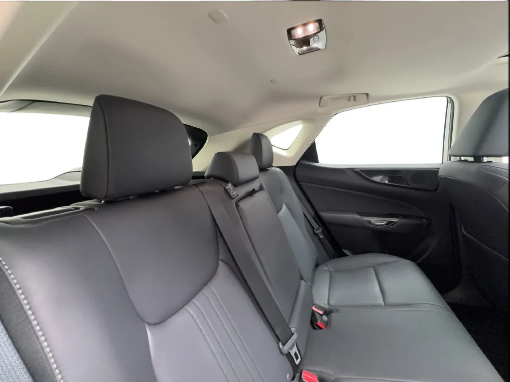 Lexus NX photo 32