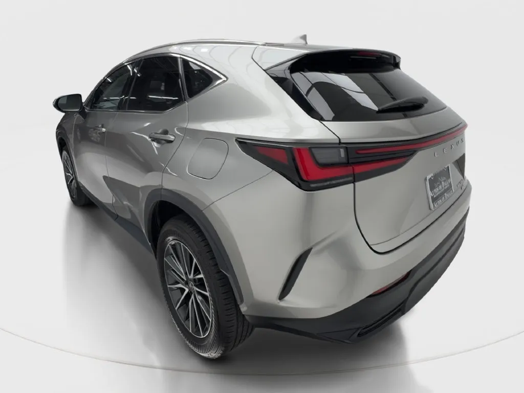 Lexus NX photo 11