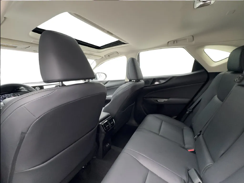 Lexus NX photo 27