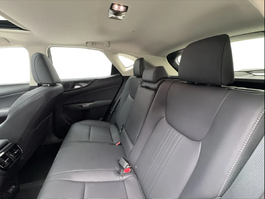 Lexus NX photo 28