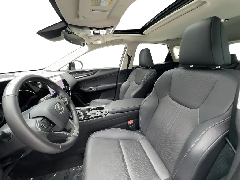 Lexus NX photo 21