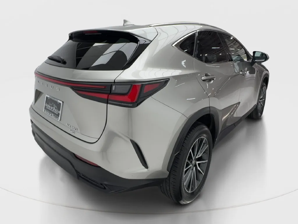 Lexus NX photo 8