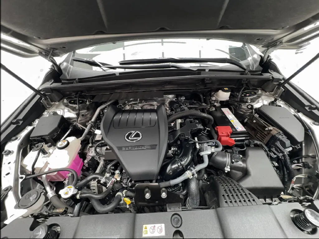 Lexus NX photo 20