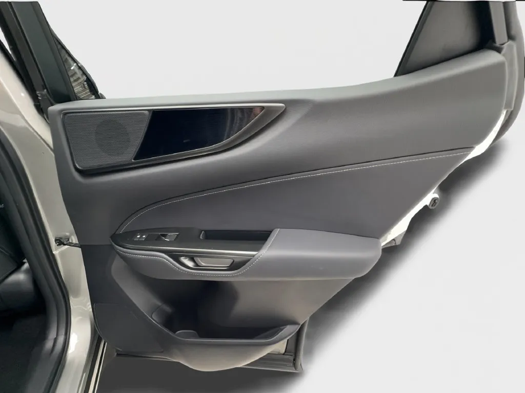 Lexus NX photo 33