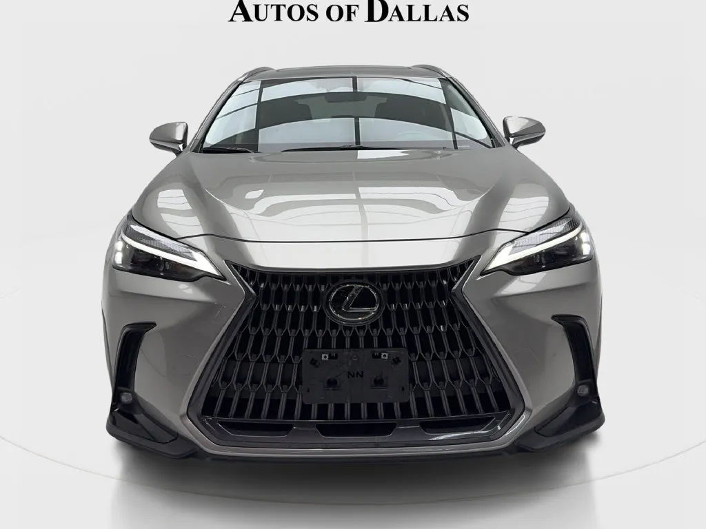 Lexus NX photo 4