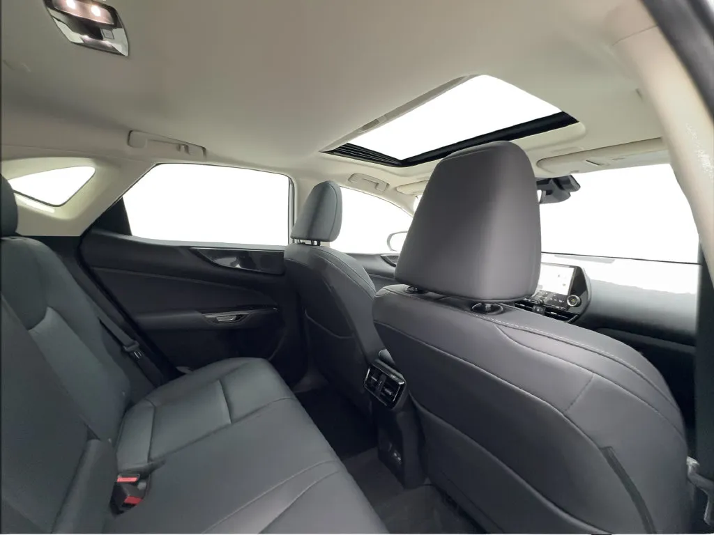 Lexus NX photo 30