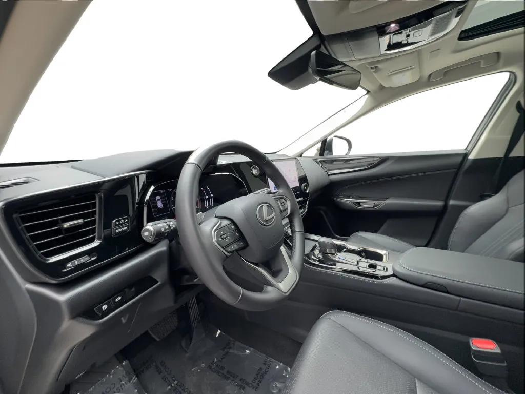 Lexus NX photo 23