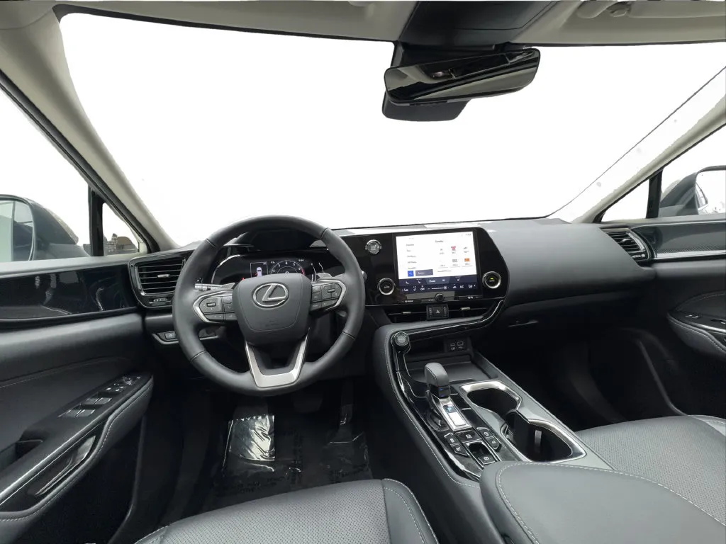 Lexus NX photo 39