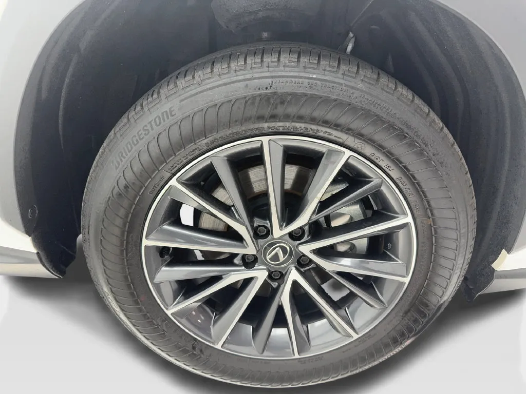 Lexus NX photo 18