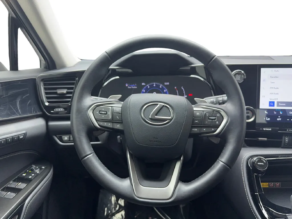 Lexus NX photo 37