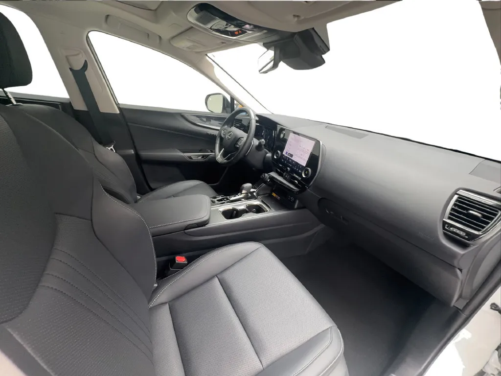 Lexus NX photo 32