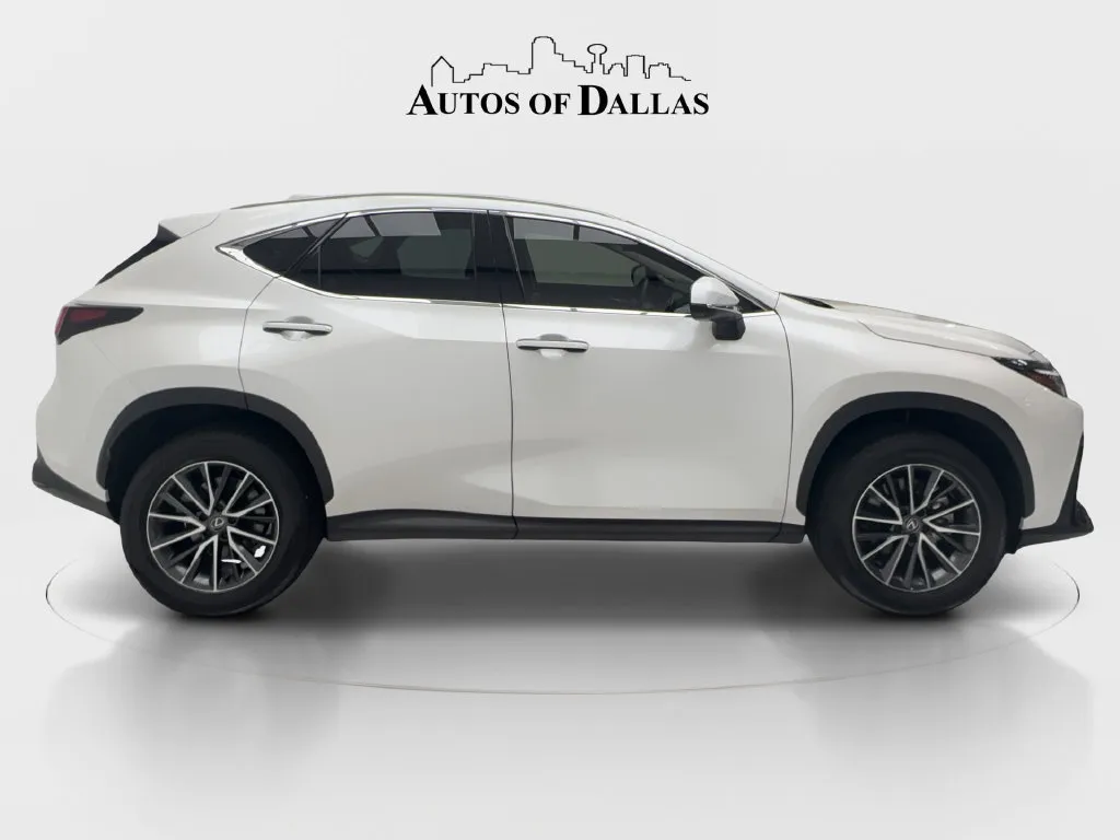 Lexus NX photo 6