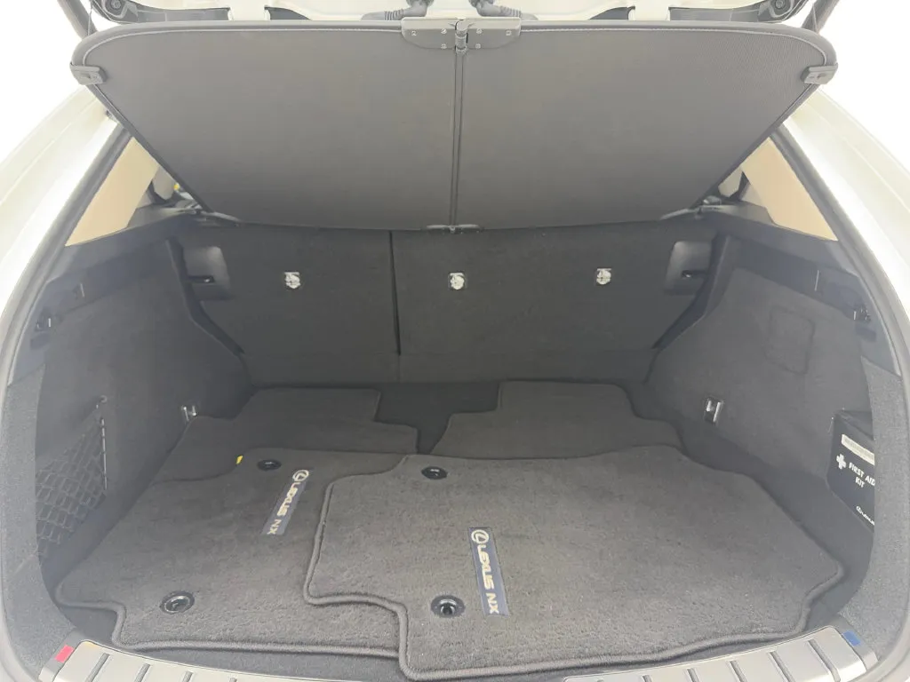 Lexus NX photo 19