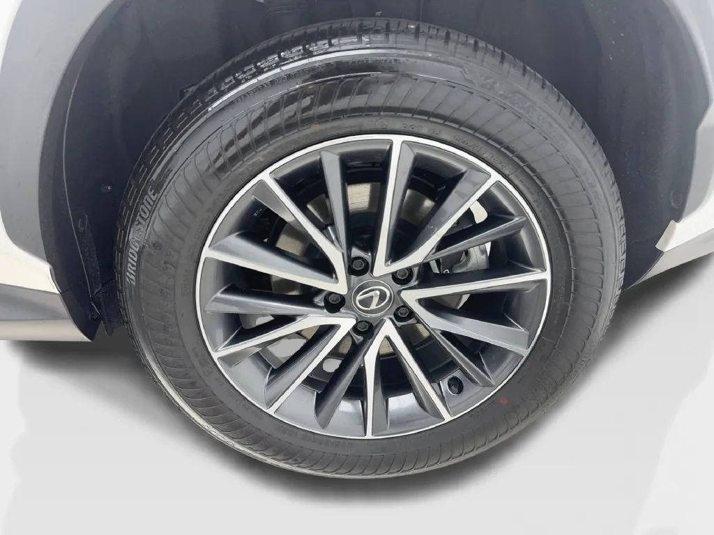 Lexus NX photo 15
