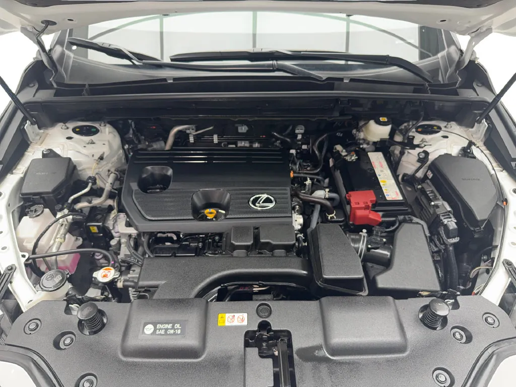 Lexus NX photo 20