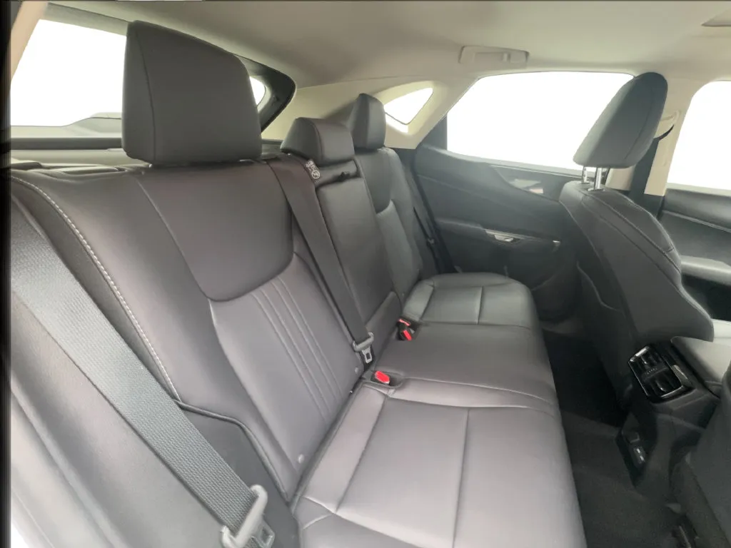 Lexus NX photo 29