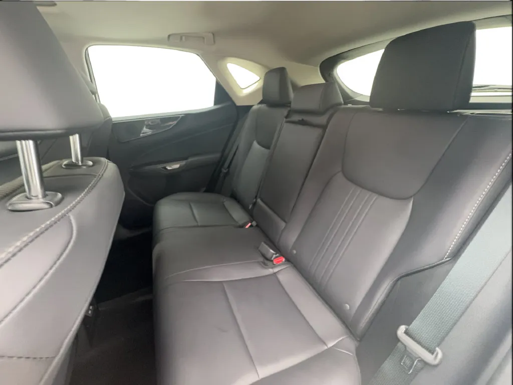 Lexus NX photo 26