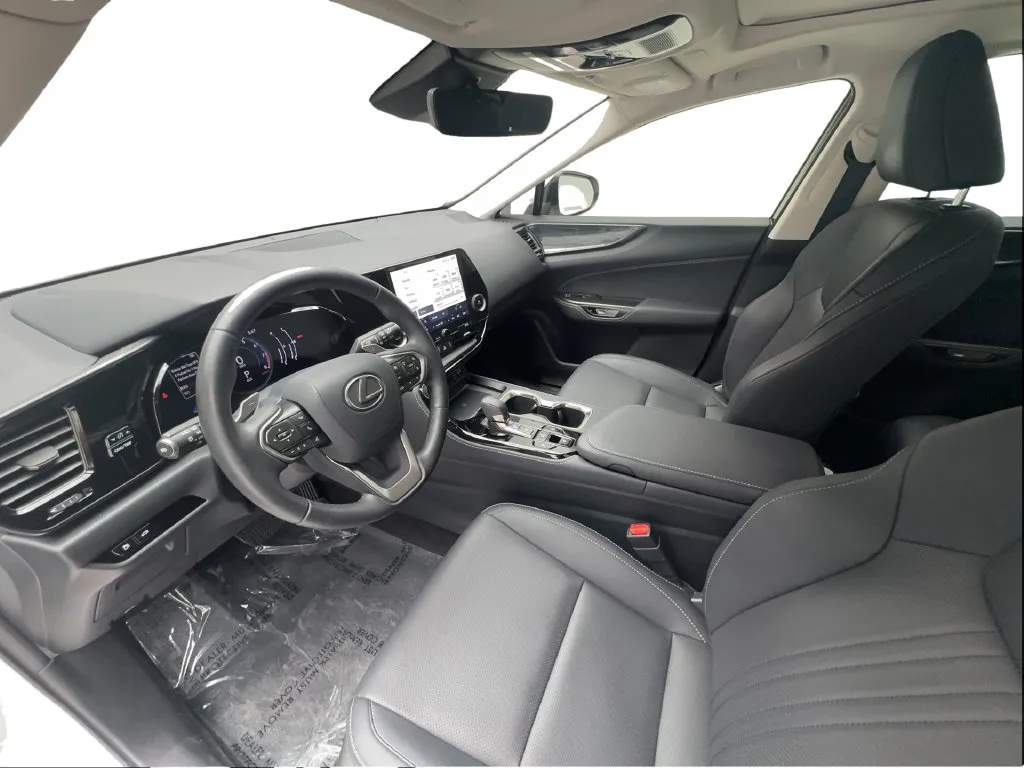 Lexus NX photo 21