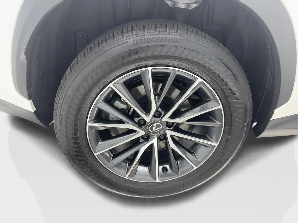 Lexus NX photo 16