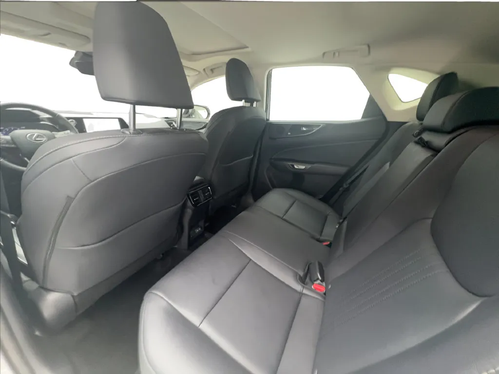 Lexus NX photo 25