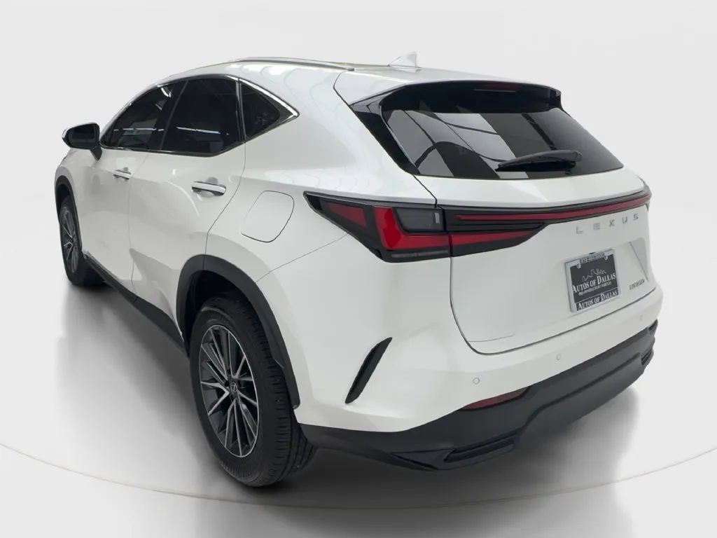 Lexus NX photo 11