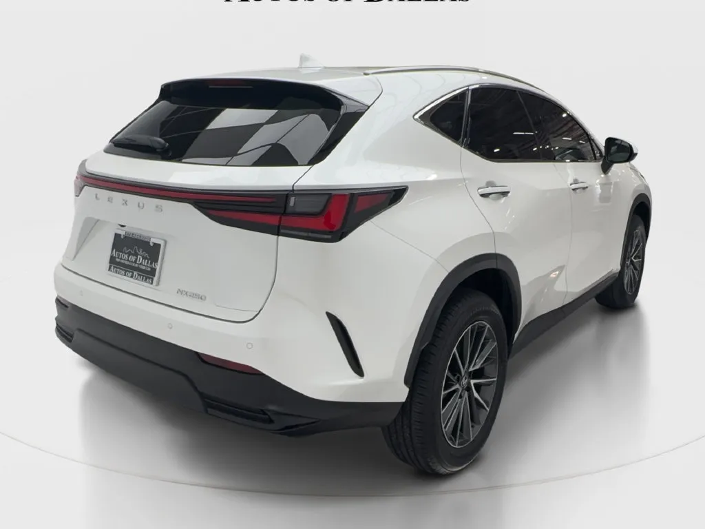 Lexus NX photo 8