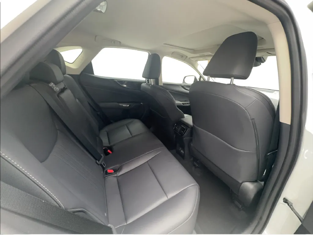 Lexus NX photo 28