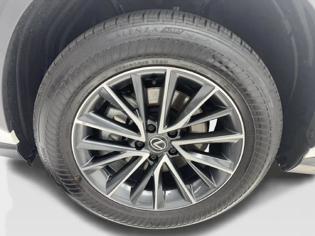 Lexus NX photo 14